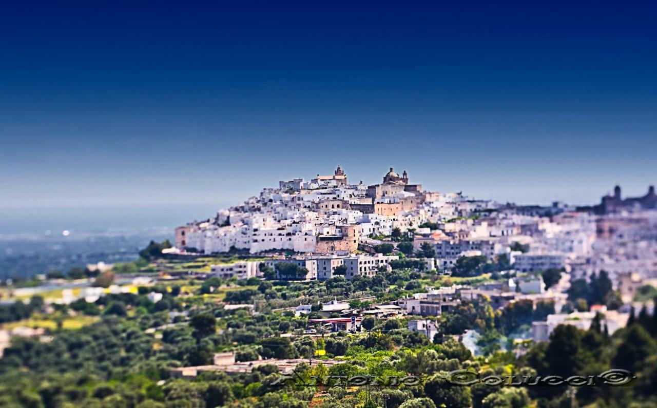 Hébergement de vacances Le Bianche Ostuni